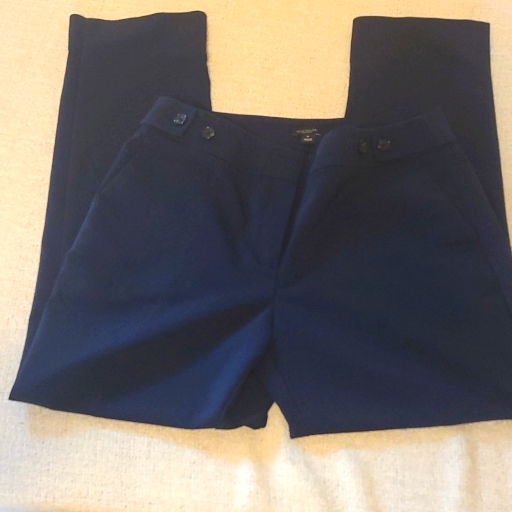 Ann Taylor- Blue Trousers- 10